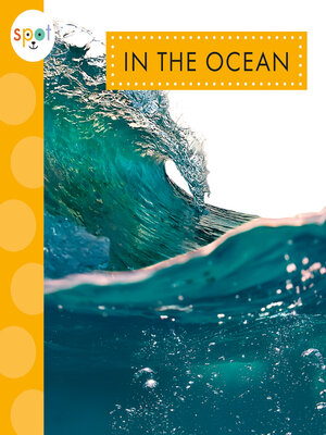 cover image of In the Ocean